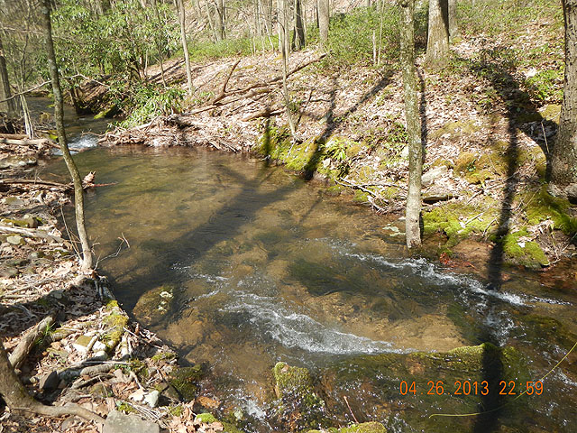 poe trip 04-26-2013 013.jpg -                                Another beauty of a run.